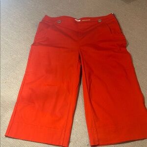 Anthropologie Maeve Orange Wide Leg Pants